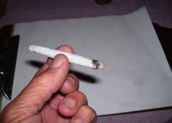How to Roll a Joint Without Filter Paper?