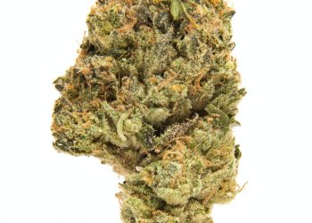 Strawberry Lemonade Strain | Read This Before Try It