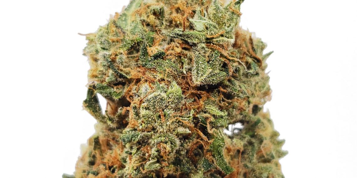 Mandarin Cookies Strain | The Concise Review of New Strain