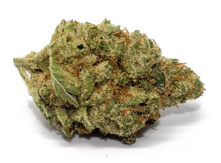 Bio Jesus Strain | Everything You Need to Know About