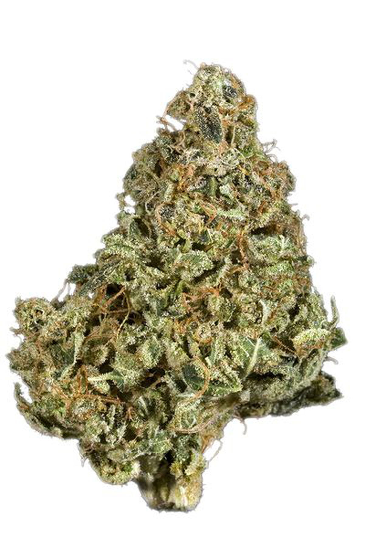 707 Headband Strain Is really Good Or Not? | Everything You Should Know