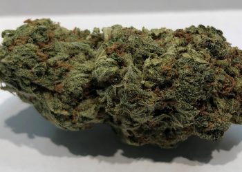 Big Smooth Strain: Read This Before Try it