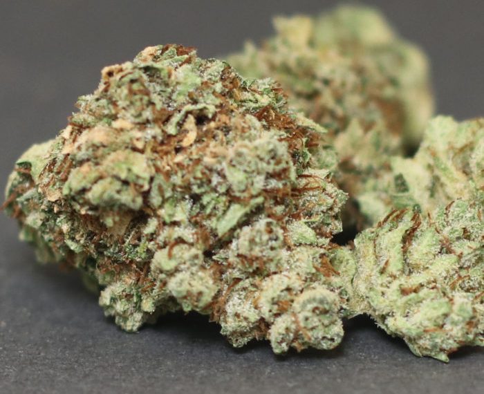 Is Deadhead OG Strain Really Worth of Trying?