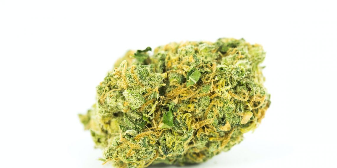 Jack Frost Strain | Everything You Need to Know