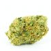 Jack Frost Strain | Everything You Need to Know