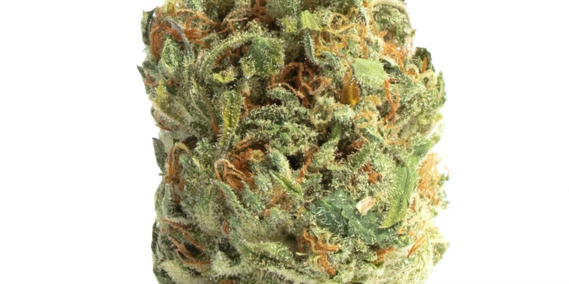 Kimbo Kush Strain: Is It Really Good or Not?