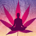 Marijuana and Yoga Classes For Healthy People