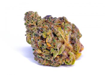 Is Pink Lemonade Strain Really Worth of Trying?