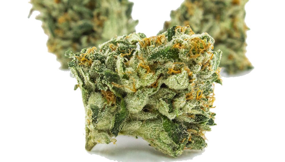 True OG Strain | Everything You Should Know About