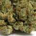 707 Headband Strain Is really Good Or Not? | Everything You Should Know