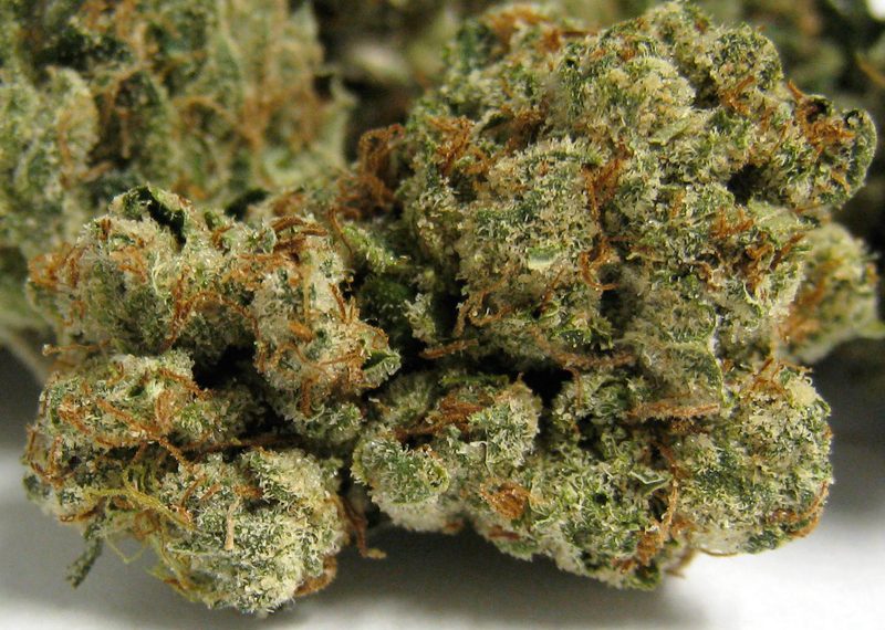 707 Headband Strain Is really Good Or Not? | Everything You Should Know