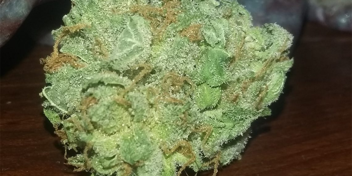 Is East Coast Diesel Strain Really Worth of Trying?