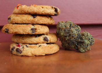 Cannabis-Infused Food for Thought