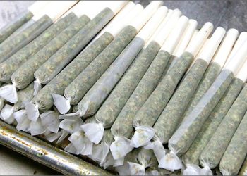 How to Roll a Cone Joint With Filter Tip?