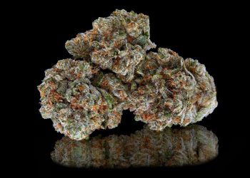 Strawberry Shortcake Strain: Stoner’s Honest Review