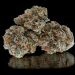 Strawberry Shortcake Strain: Stoner’s Honest Review