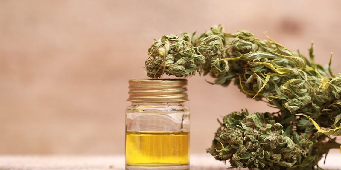 Full Extract of Cannabis Oil: Detailed Guide