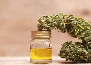 Full Extract of Cannabis Oil: Detailed Guide