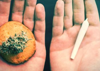 Edibles Vs Smoking | Differences You Are Interested In