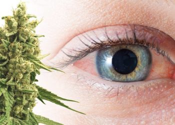 Do Edibles Make Your Eyes Red? | Everything You Should Know About