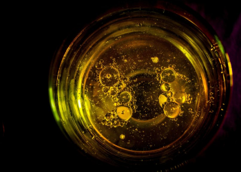 What You Should Know About CBD Water Soluble Powder