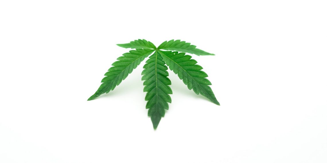 Tips for Cannabis-friendly Travel