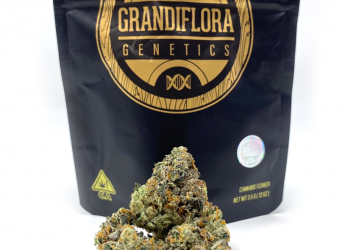 Is Grandiflora Genetics a Good Brand?