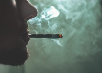 1:1 CBD To THC Ratio: What Does It Mean?