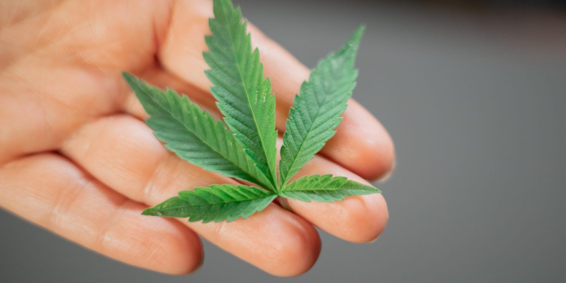 How And When To Flush Cannabis?