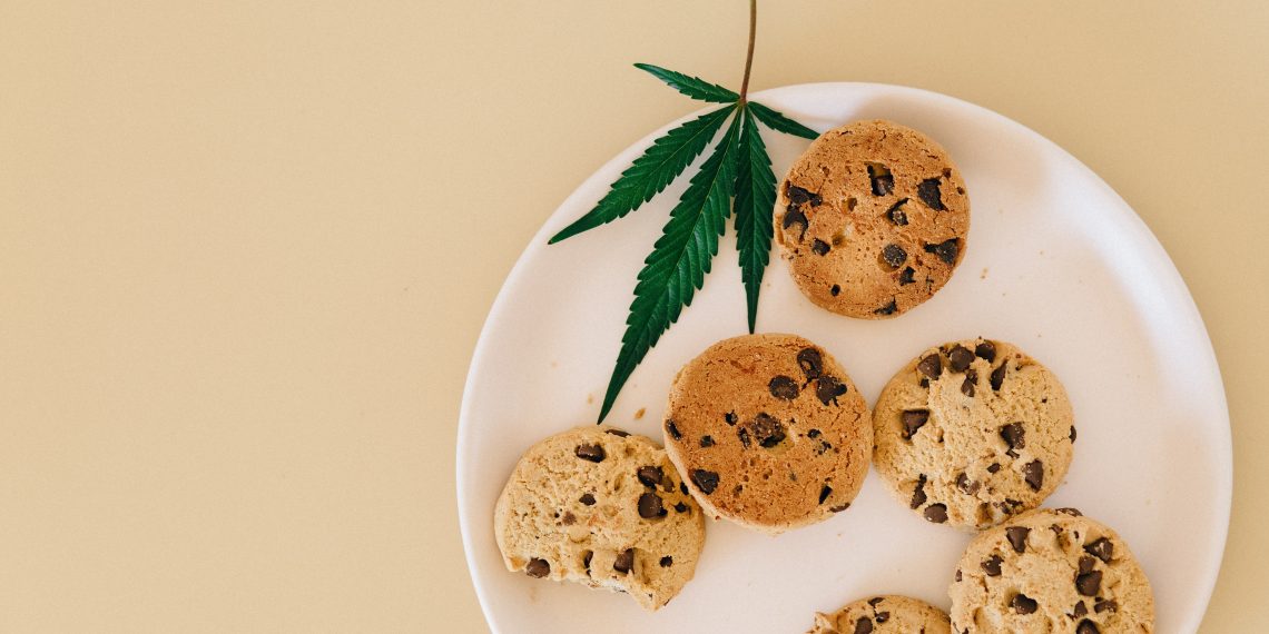 Berner Cookies Strains: What Are They?