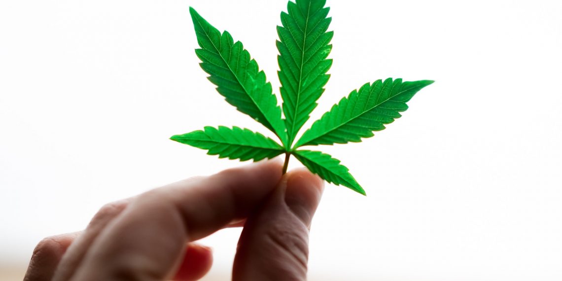 Can Marijuana Be as Effective as Medications?