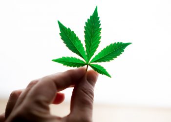 Can Marijuana Be as Effective as Medications?