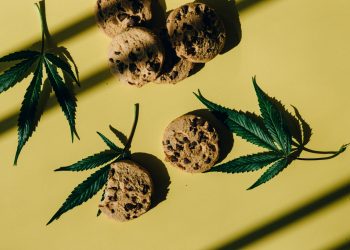 How to Use Weed Edibles Correctly?