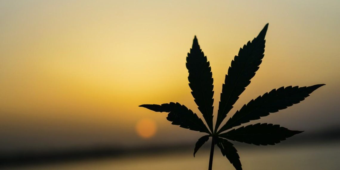How the NFL Changed its Mind About Marijuana?