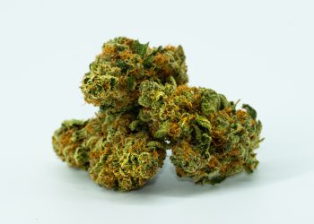 4 Ways to Buy Cannabis (Legally) In Washington DC