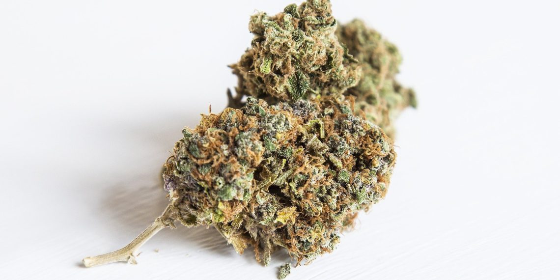 Which Cannabis Strains are Better for Edibles?