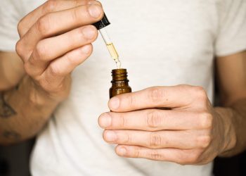 The Whole Thing You Need To Be Familiar With Concerning CBD Oil On Pets