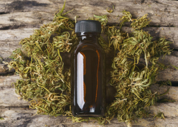 CBD Flower: What You Need to Know