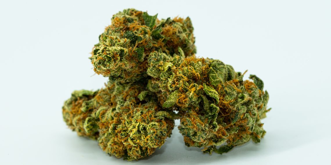 Do You Want To Know All About Indica Cannabis Strains Available In Canada?