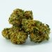Do You Want To Know All About Indica Cannabis Strains Available In Canada?