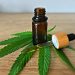 Revolutionizing the CBD Industry: How This Unique Business Gains Momentum