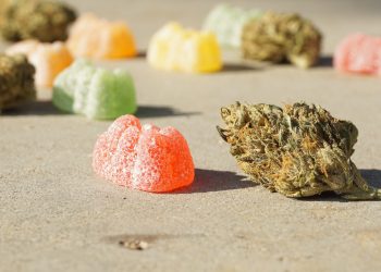 How Can CBD Gummies Help You Stay Away From A Downtrending Stock Market?