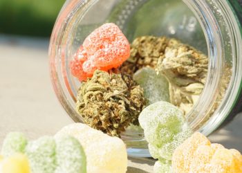 CBD Gummies: Everything You Need to Know