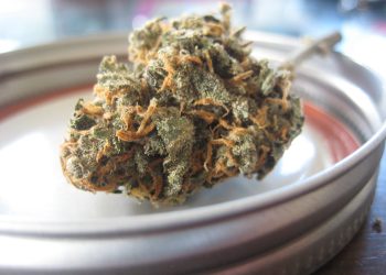 The Best Dispensary Deals For St. Patricks Day