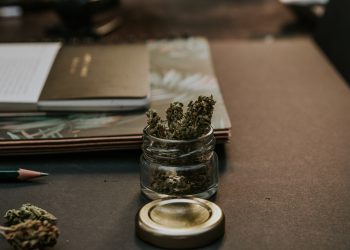 7 Ways To Use Delta-9 On Your Next Vacation?