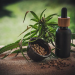 Therapeutic Value of CBD Products: the Pathway to Make Your Life Comfortable