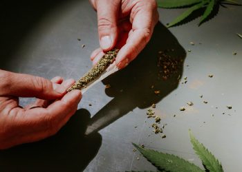 What Are the Best Rolling Paper Alternatives?