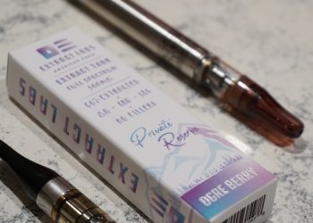 Disposable CBD Vapes: The New Way to Get Your Daily Dose
