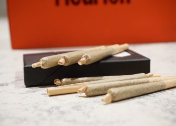 3 Things To Consider When Choosing Pre-Roll Tubes
