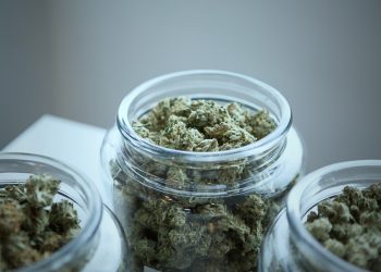 Smoke Your Cake Today! The Best of London Pound Cake Strain